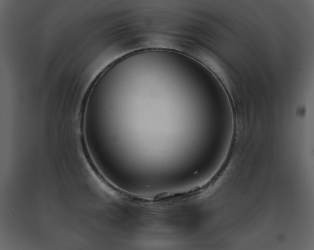 X0000091661141200708231259
