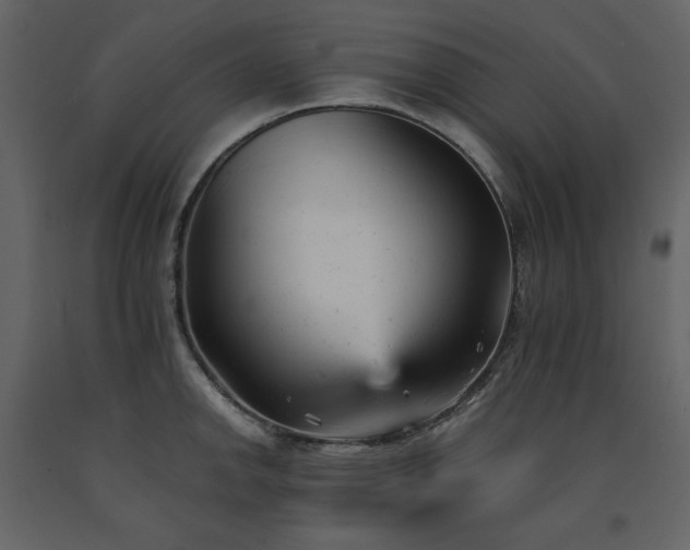 X0000091661142200708231259
