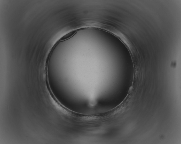 X0000091661143200708231259