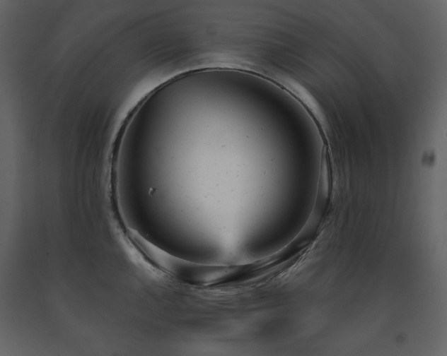 X0000091661144200708231259