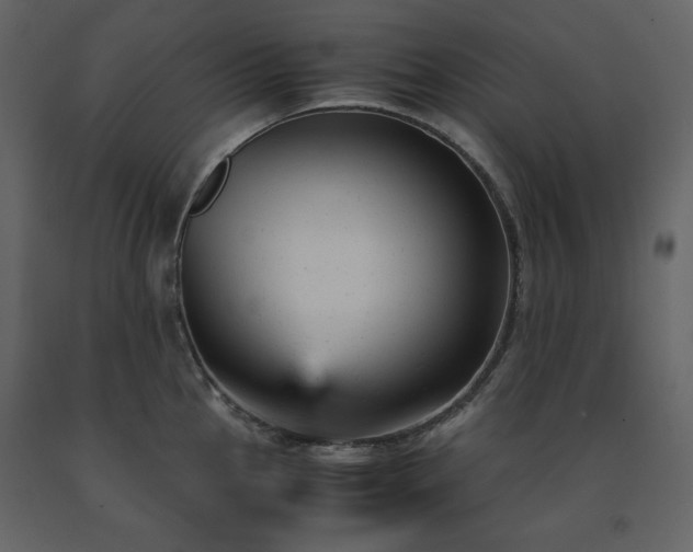 X0000091661145200708231259