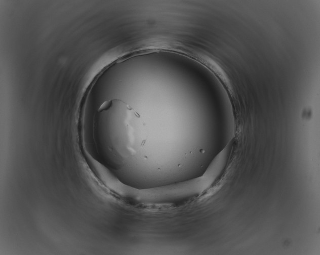 X0000091661146200708231259