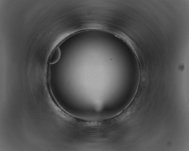 X0000091661147200708231259