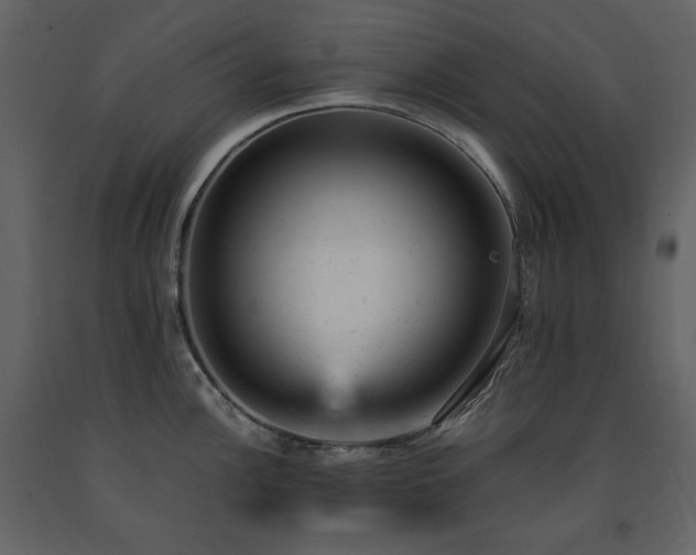 X0000091661148200708231259