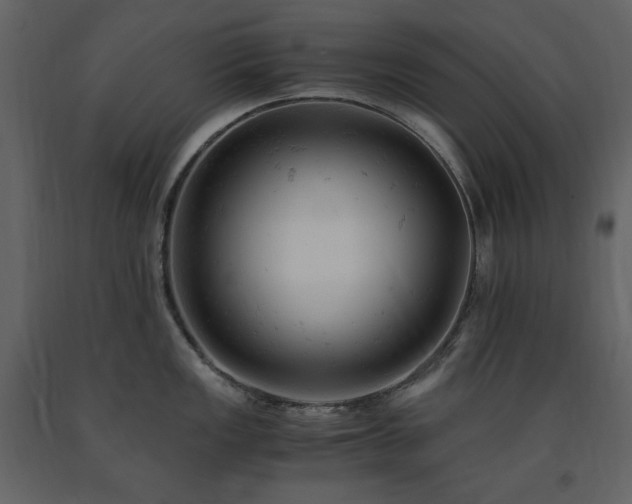 X0000091661149200708231259