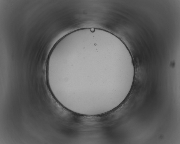 X0000091661150200708231259