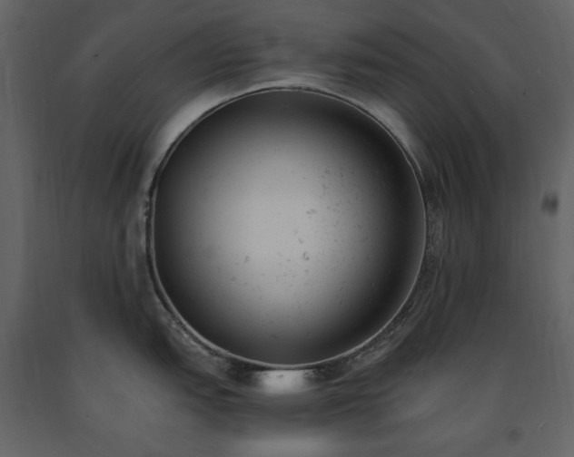 X0000091661151200708231259