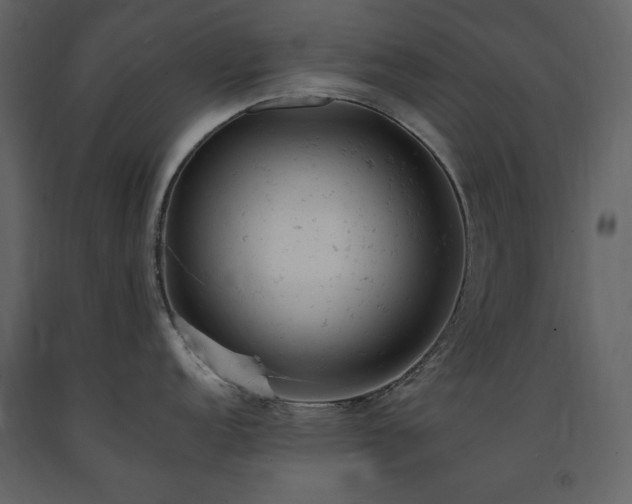X0000091661152200708231259