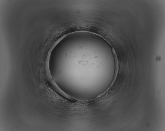 X0000091661153200708231259