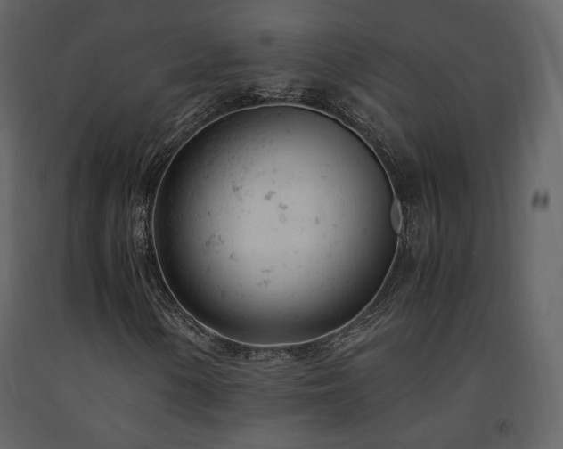 X0000091661154200708231259