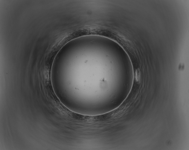 X0000091661155200708231259
