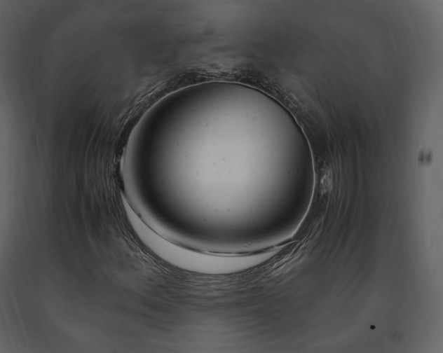 X0000091661156200708231259