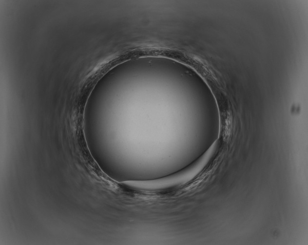 X0000091661157200708231259