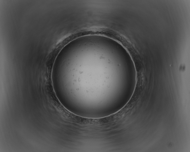 X0000091661158200708231259