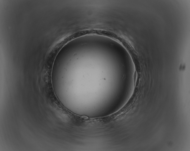 X0000091661159200708231259