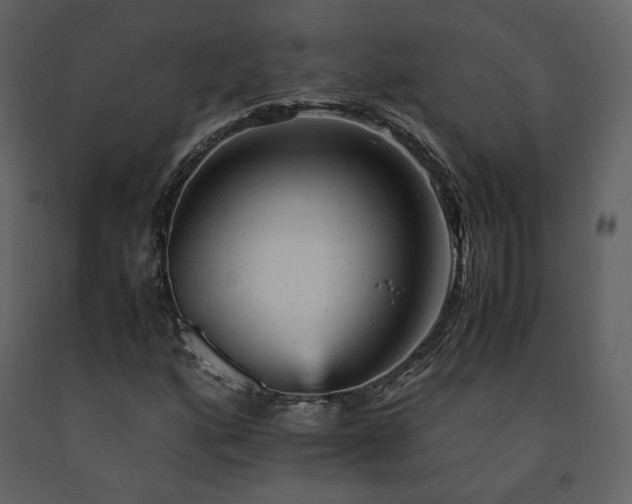 X0000091661160200708231259