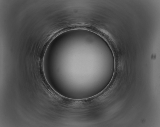 X0000091661161200708231258