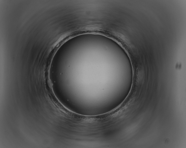 X0000091661162200708231258