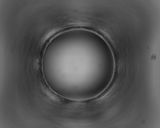 X0000091661163200708231258