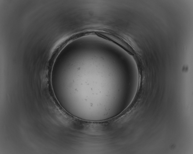 X0000091661164200708231258