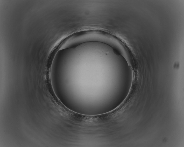 X0000091661165200708231258