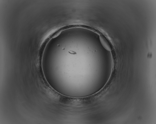 X0000091661167200708231258