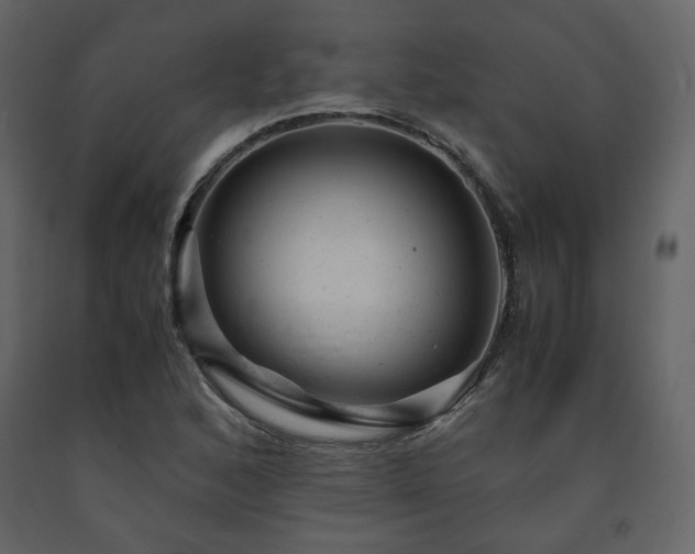 X0000091661168200708231258