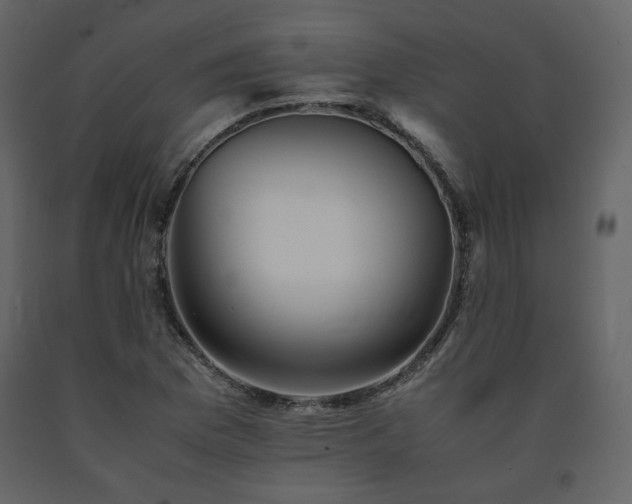 X0000091661169200708231258