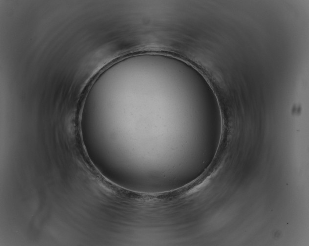 X0000091661170200708231258