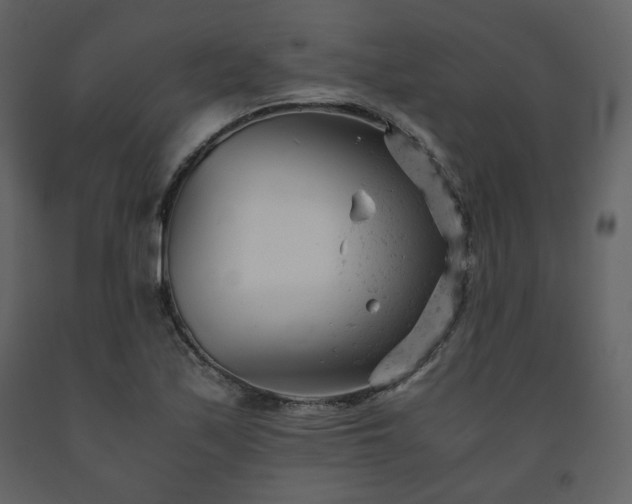 X0000091661171200708231258
