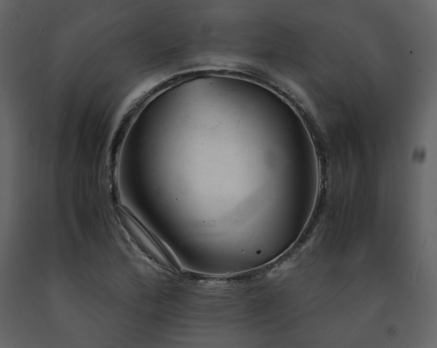 X0000091661172200708231258
