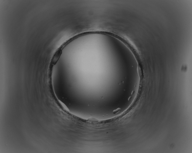 X0000091661173200708231258