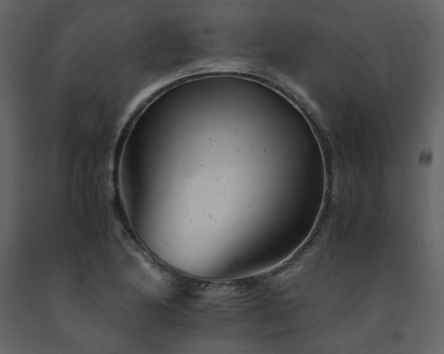 X0000091661174200708231258