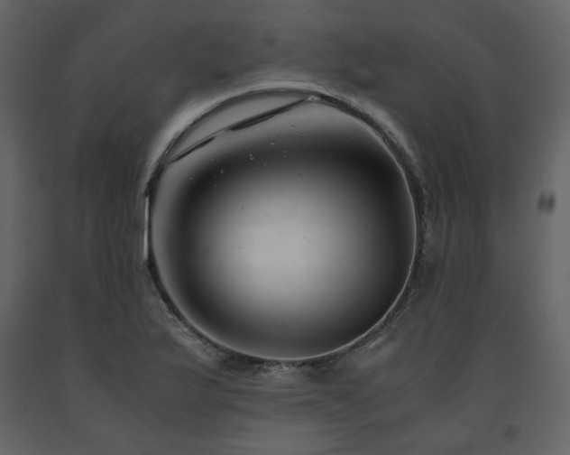 X0000091661175200708231258