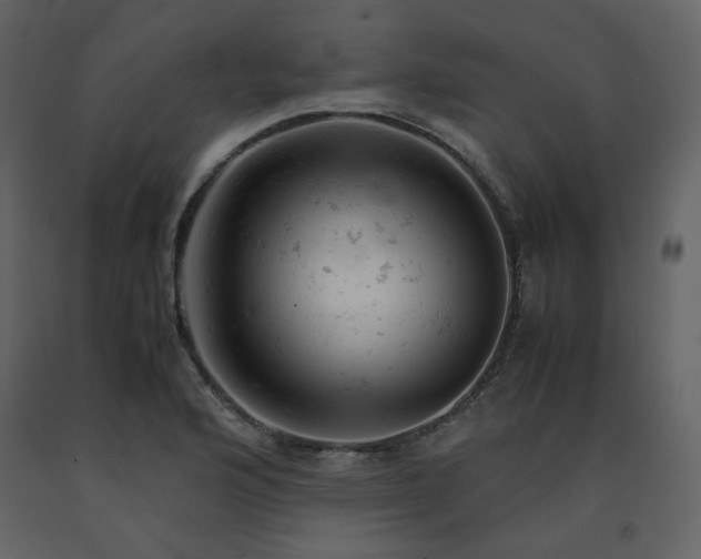 X0000091661176200708231258