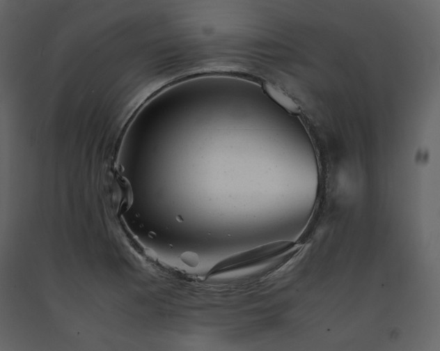 X0000091661177200708231258