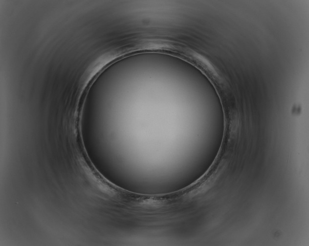 X0000091661178200708231258