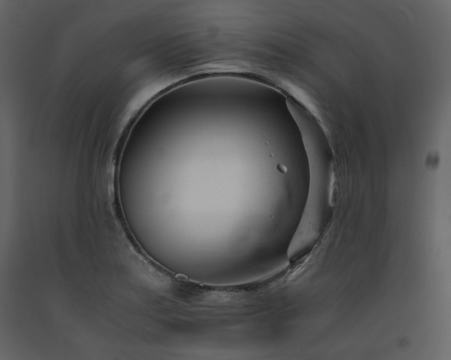 X0000091661179200708231258