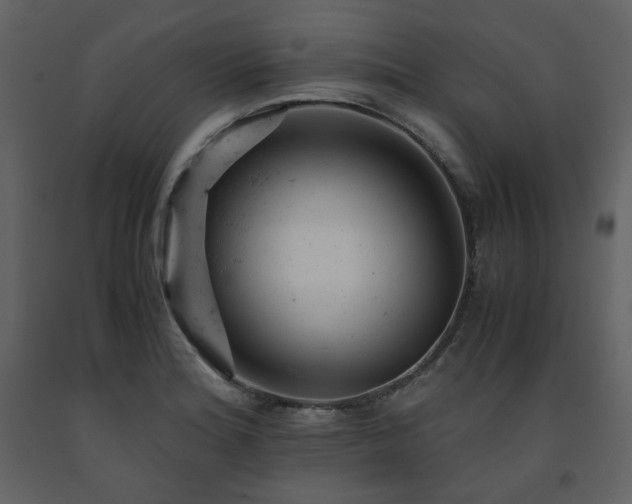 X0000091661180200708231258