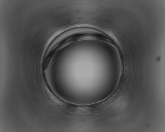 X0000091661181200708231258