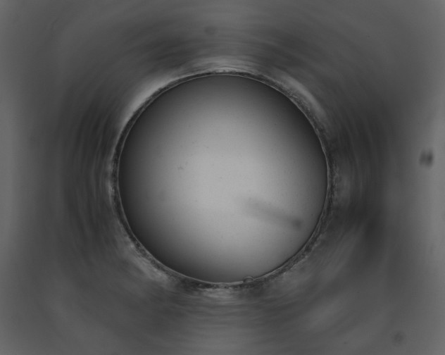 X0000091661182200708231258