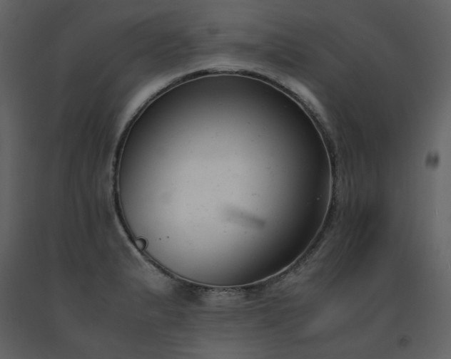 X0000091661183200708231258