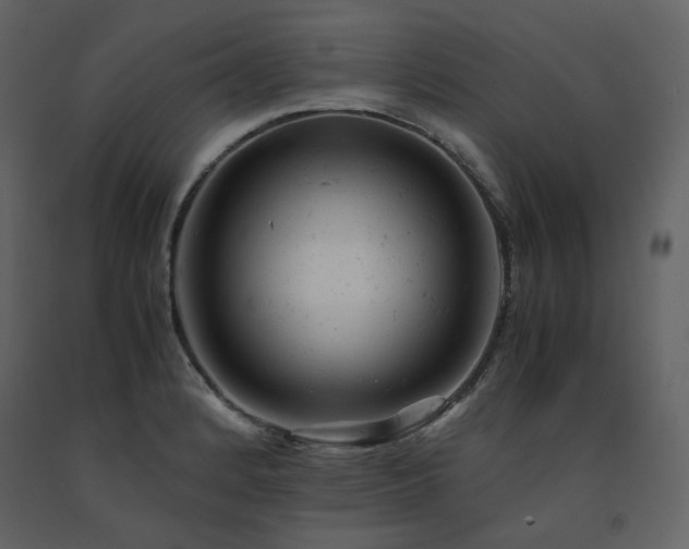 X0000091661184200708231258