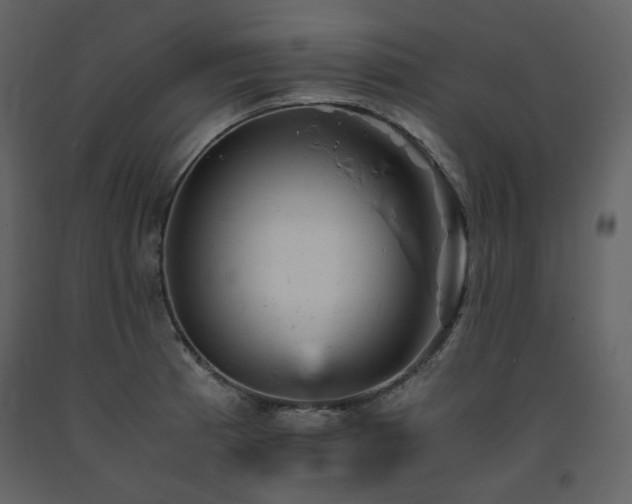X0000091661185200708231258