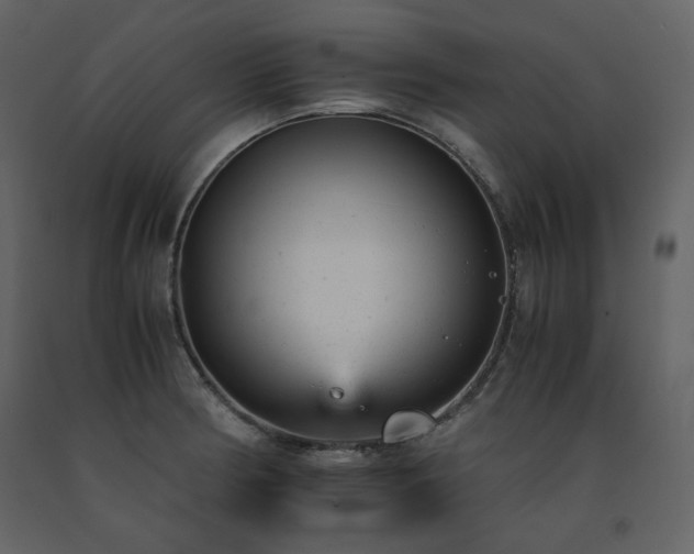 X0000091661186200708231258