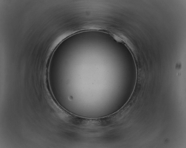 X0000091661187200708231258