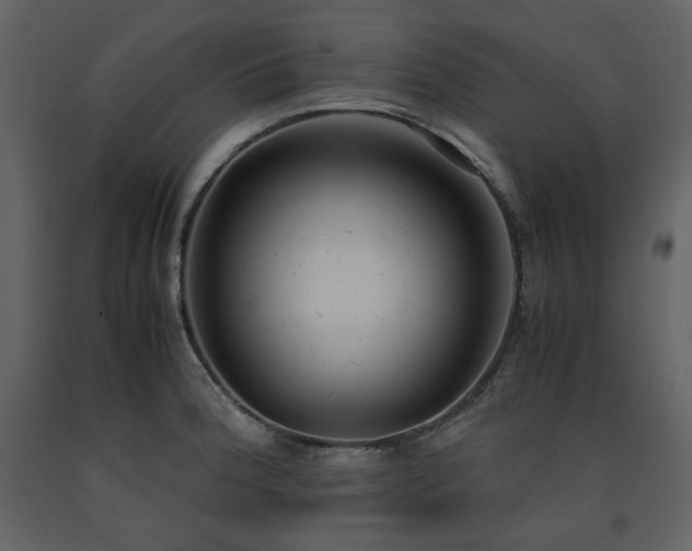 X0000091661188200708231258