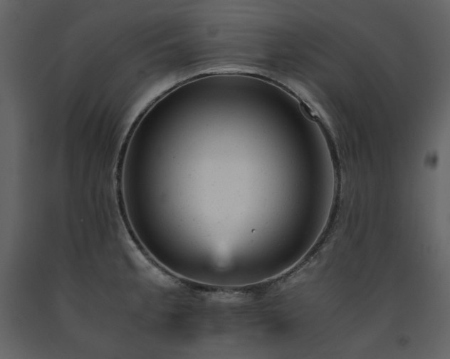 X0000091661189200708231258