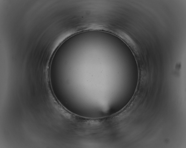 X0000091661190200708231258