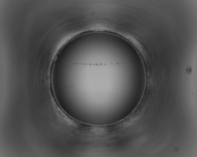 X0000091661191200708231258